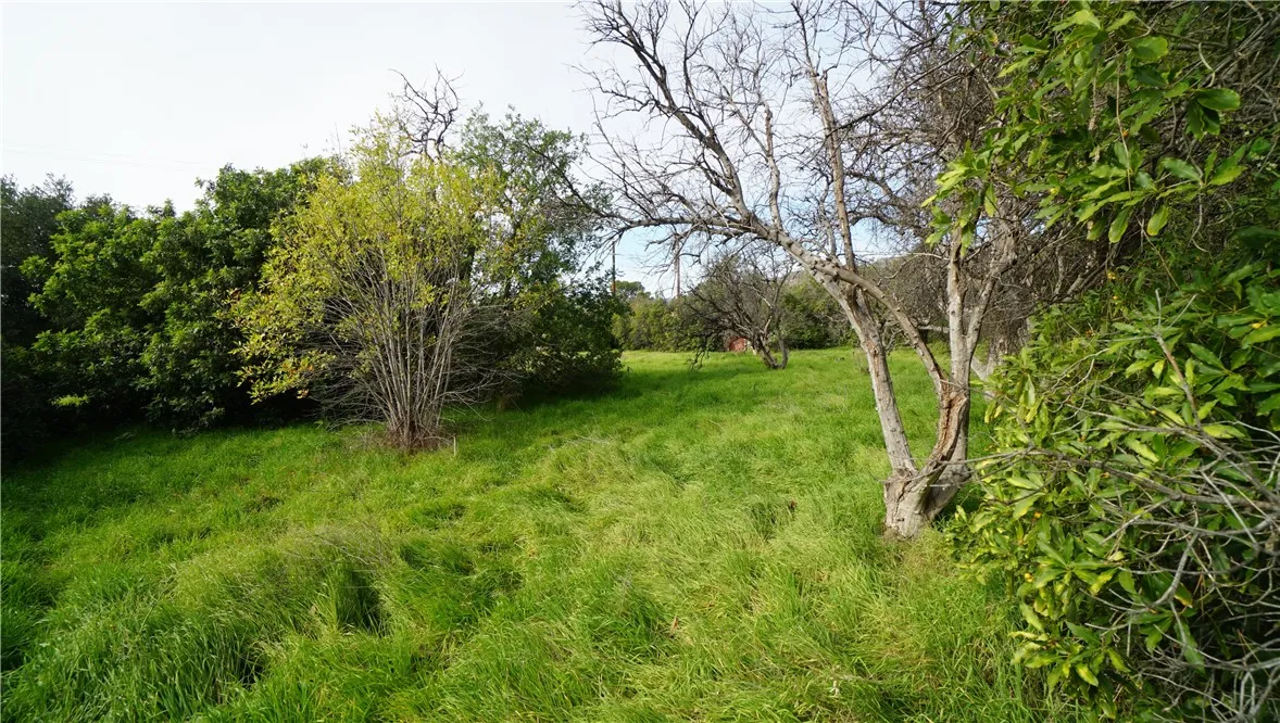 Additional image 79 of 13750 Fenton, Sylmar, CA 91342