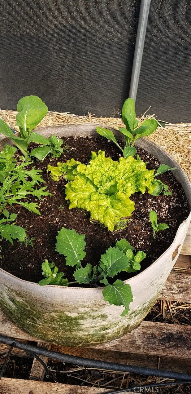 Additional image 124 of 57745 Bailey Rd, Anza, CA 92539