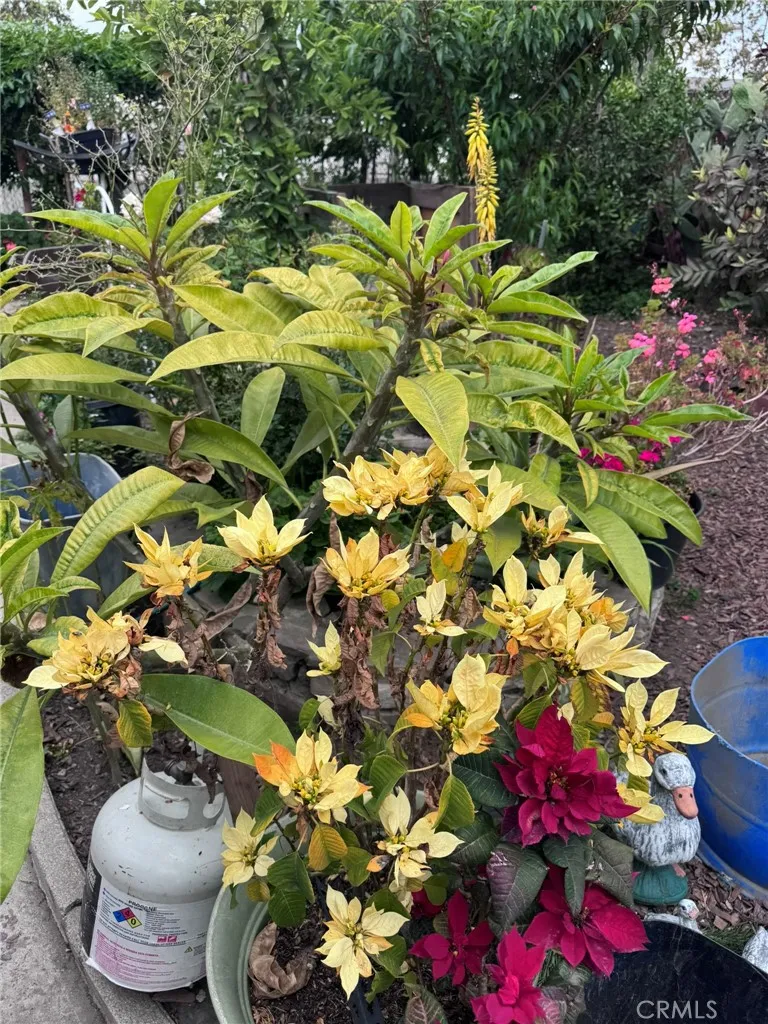 Additional image 43 of 7881 Franklin Street, Buena Park, CA 90621