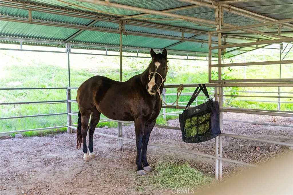 Additional image 69 of 28132 Oak Spring Canyon Rd, Canyon Country, CA 91387