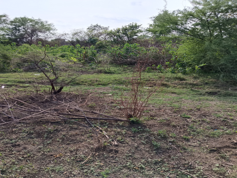 Property image for Kalameshwar, Nagpur