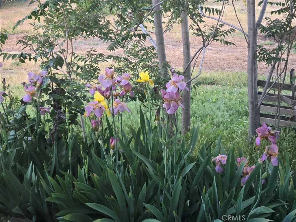 Additional image 55 of 57745 Bailey Rd, Anza, CA 92539