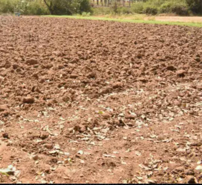 Additional image 2 of Ayyankottai, Madurai