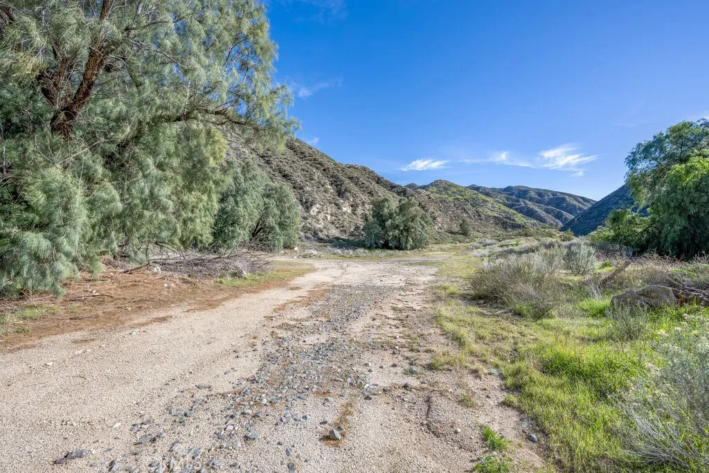 Additional image 41 of 12571 Capra Rd, Agua Dulce, CA 91390