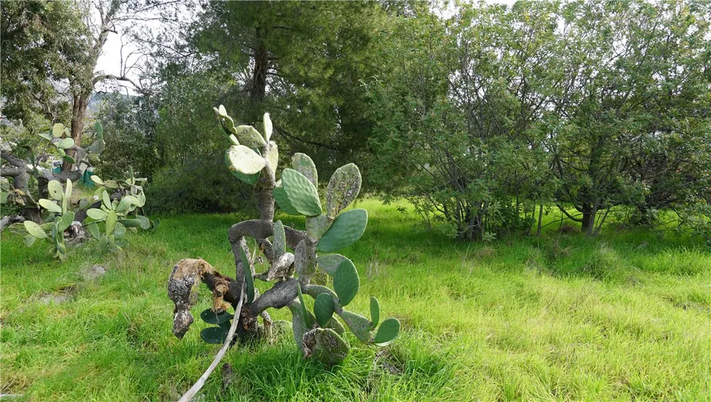 Additional image 22 of 13750 Fenton, Sylmar, CA 91342