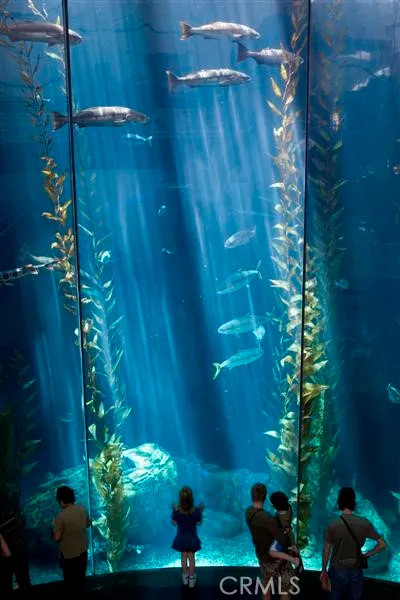 Additional image 101 of 800 E Ocean Boulevard Unit 1505, Long Beach, CA 90802