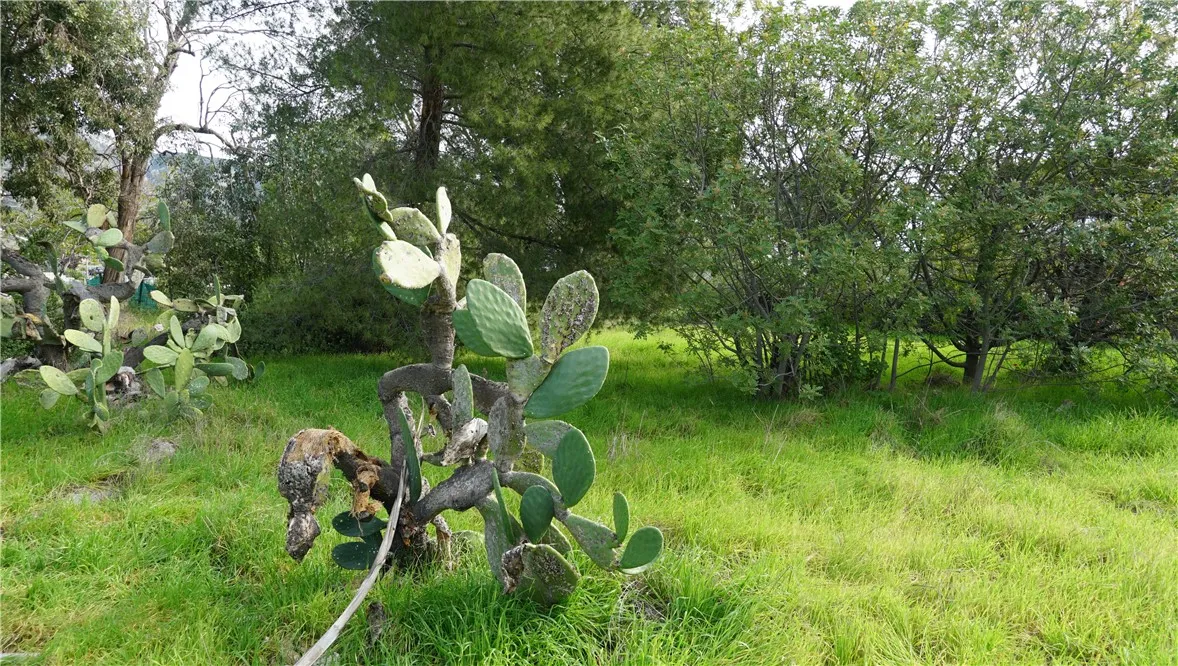 Additional image 67 of 13750 Fenton, Sylmar, CA 91342