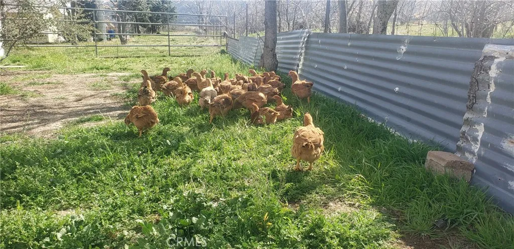 Additional image 120 of 57745 Bailey Rd, Anza, CA 92539