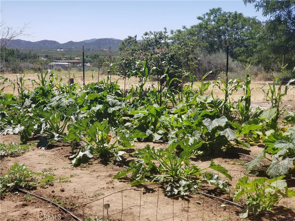 Additional image 135 of 57745 Bailey Rd, Anza, CA 92539