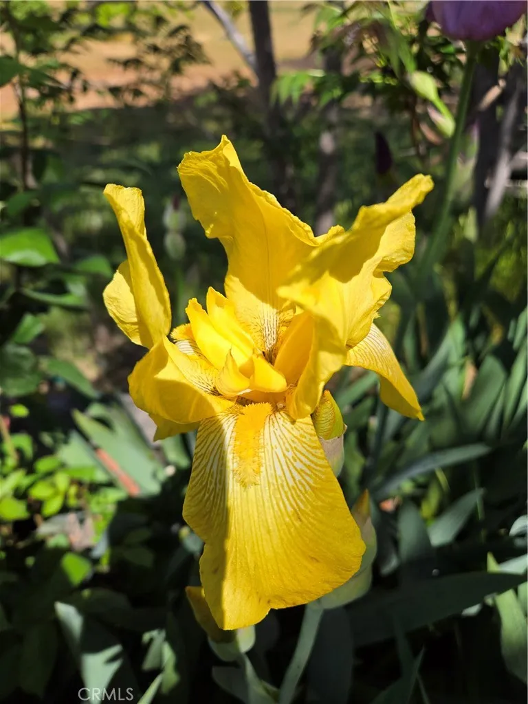 Additional image 127 of 57745 Bailey Rd, Anza, CA 92539