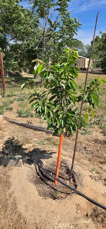 Additional image 136 of 57745 Bailey Rd, Anza, CA 92539