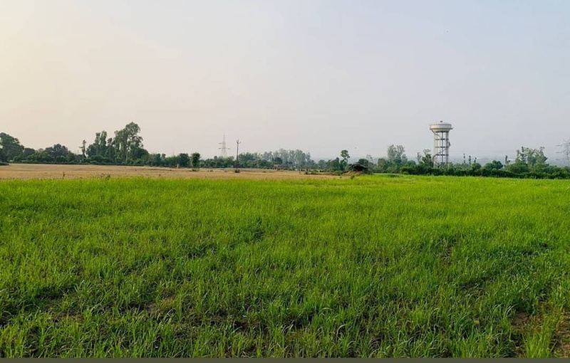 Additional image 2 of Shimla Bypass, Dehradun