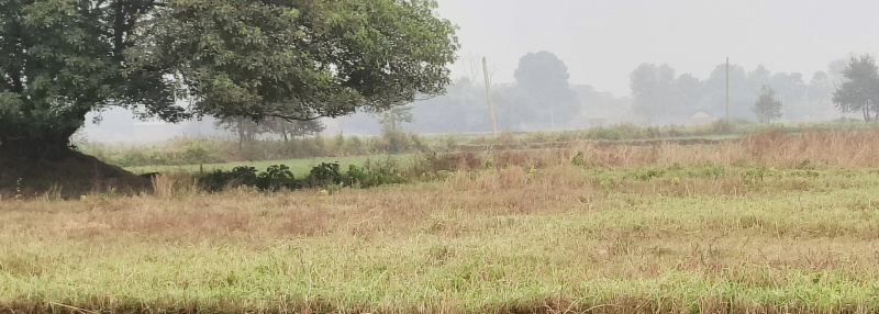 Additional image 3 of Datiyana, Bikram, Patna