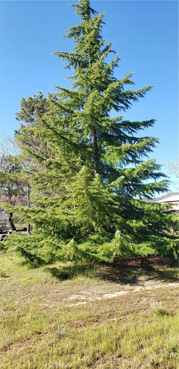 Additional image 148 of 57745 Bailey Rd, Anza, CA 92539