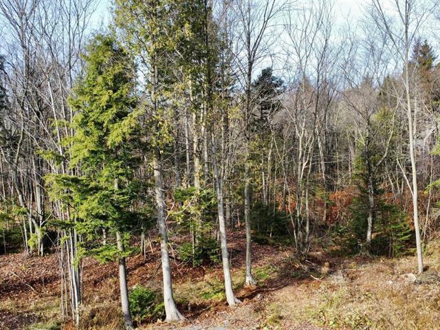 Property image for Av. des Ruisseaux|Lévis (Desjardins), Quebec G6C1V6