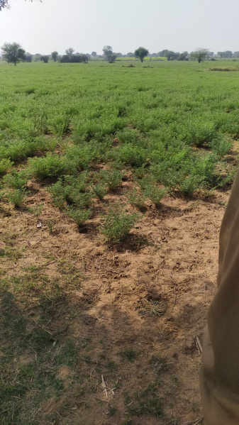 Additional image 2 of C Scheme, Jaipur