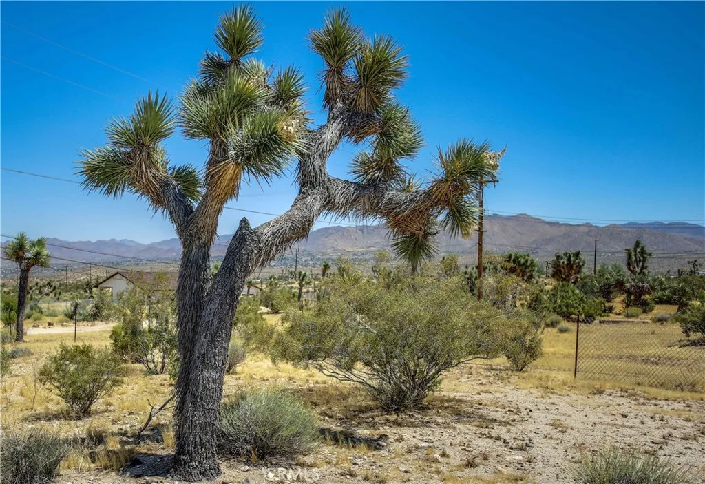Additional image 36 of 5407 Paradise View Road, Yucca Valley, CA 92284