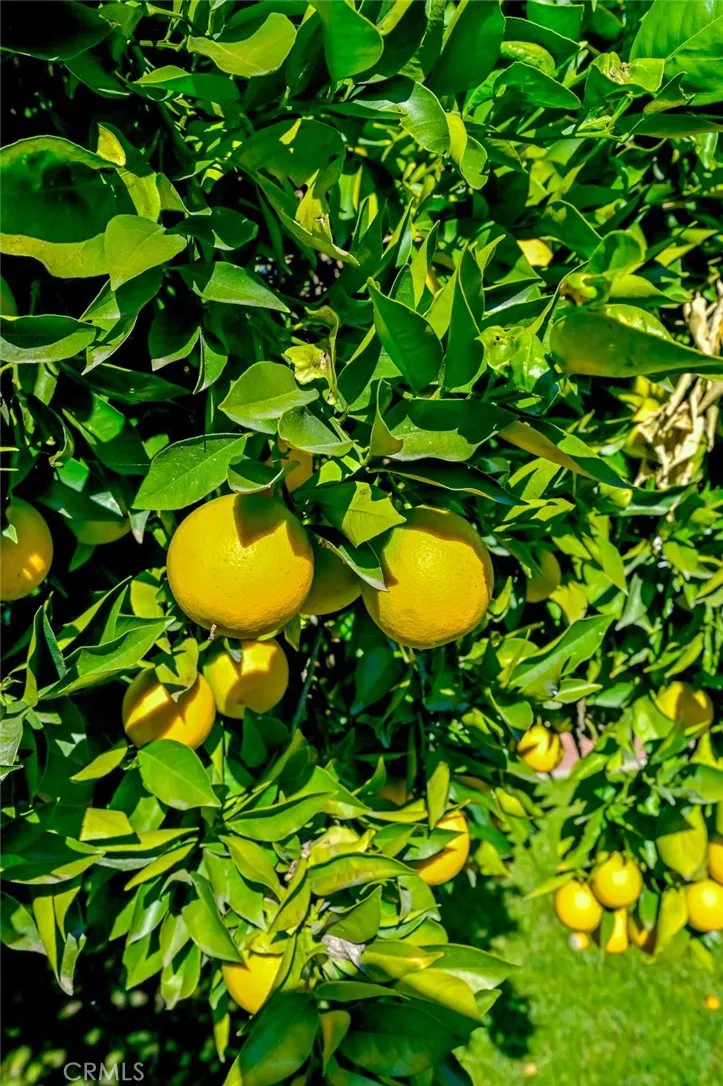 Additional image 80 of 736 N Frijo Avenue, West Covina, CA 91790