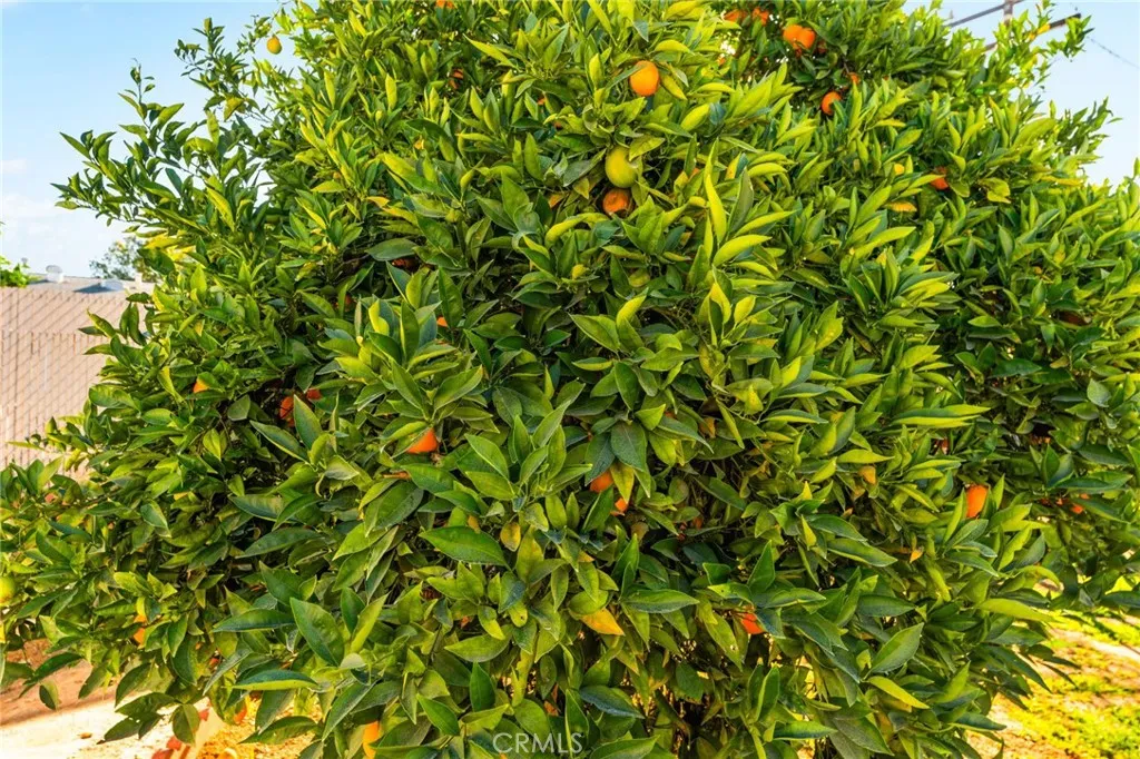 Additional image 38 of 28960 Olympia Way, Menifee, CA 92586