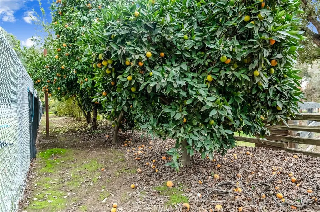 Additional image 105 of 18701 Lort Drive, Visalia, CA 93292