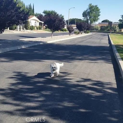 Additional image 100 of 12550 Main Street Unit 31, Hesperia, CA 92345