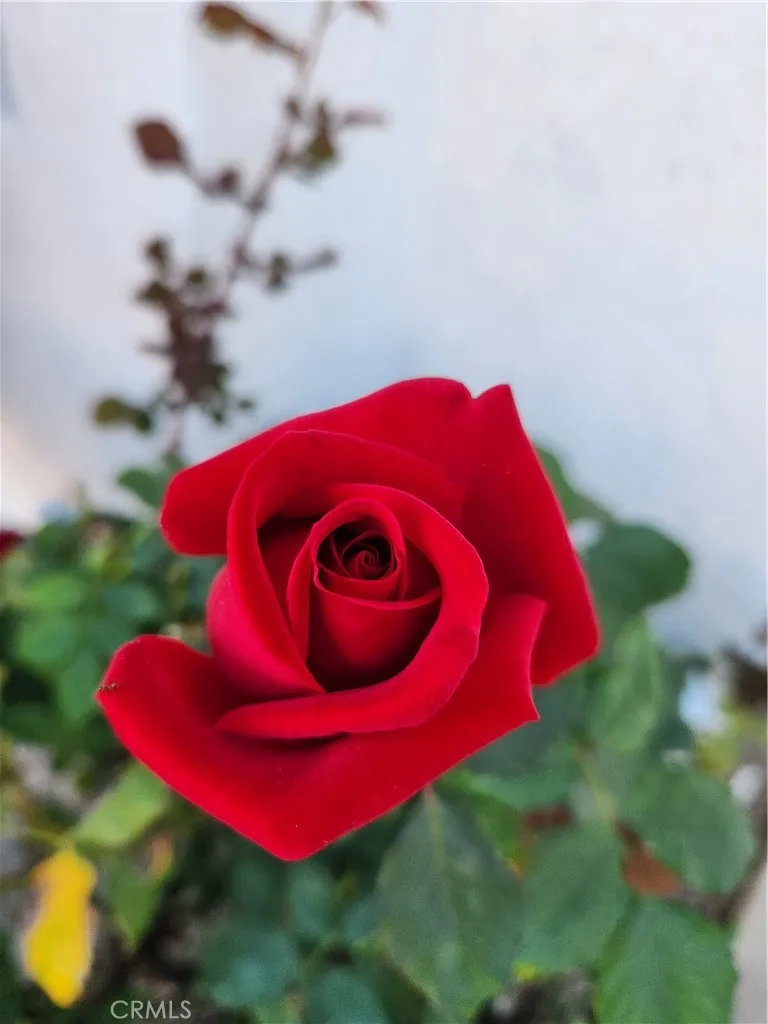 Additional image 44 of 7545 Calais Court, Rancho Cucamonga, CA 91730