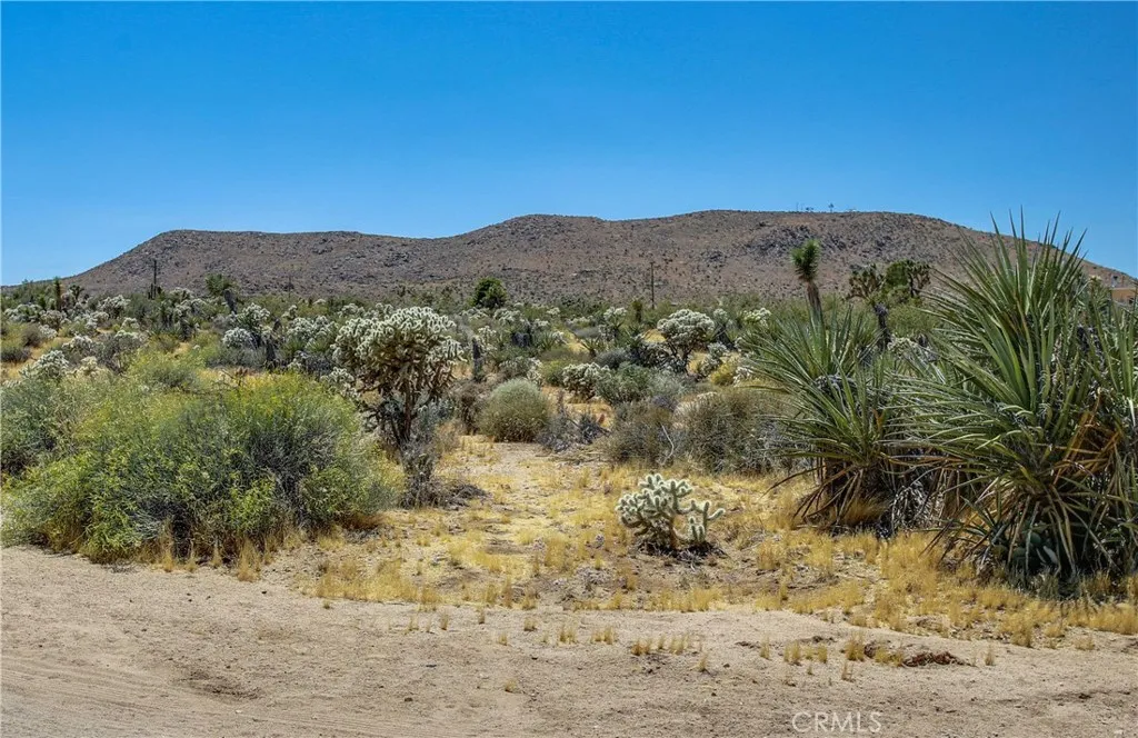 Additional image 112 of 5407 Paradise View Road, Yucca Valley, CA 92284