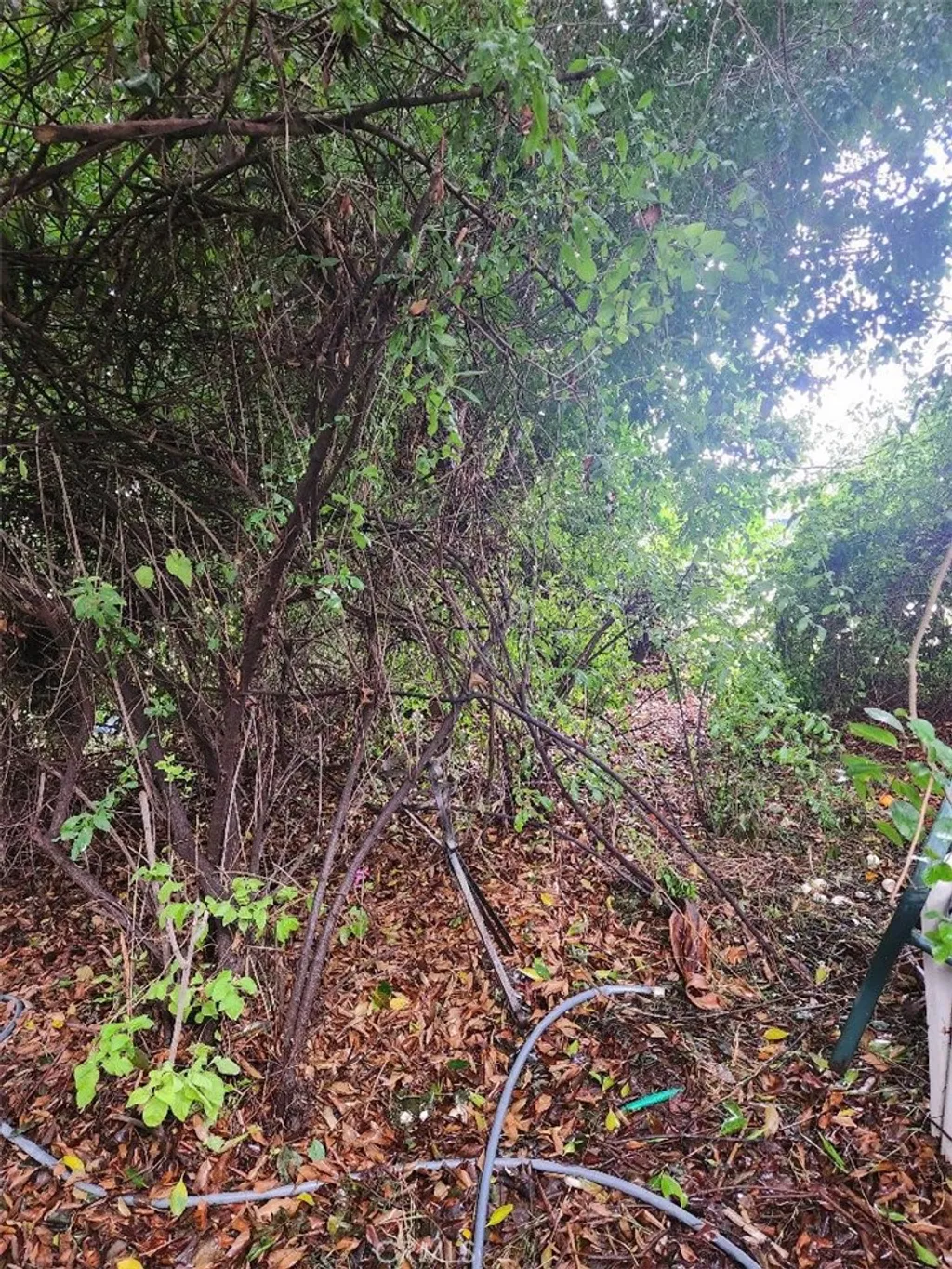 Additional image 5 of 3297 Elmore, Simi Valley, CA 93063