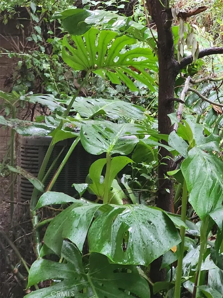 Additional image 43 of 3297 Elmore, Simi Valley, CA 93063