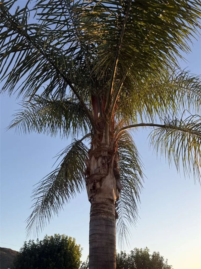 Additional image 84 of 3270 Edgemont Court, San Bernardino, CA 92405