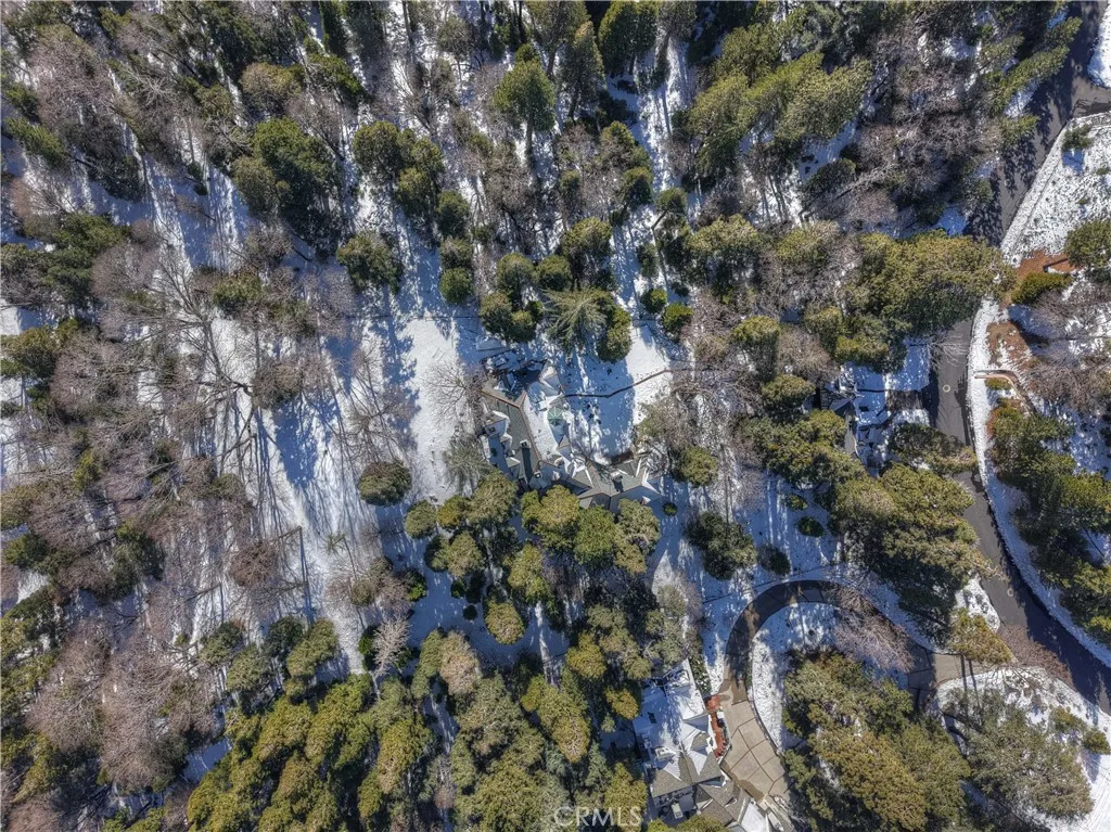 Additional image 87 of 29223 Pigeon Hawk Ln, Lake Arrowhead, CA 92352