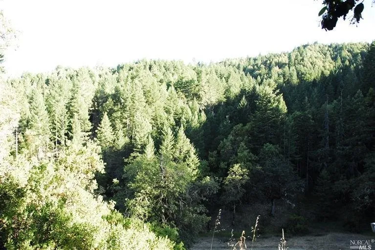 Additional image 18 of 8555 Cave Creek Road, Redwood Valley, CA 95470