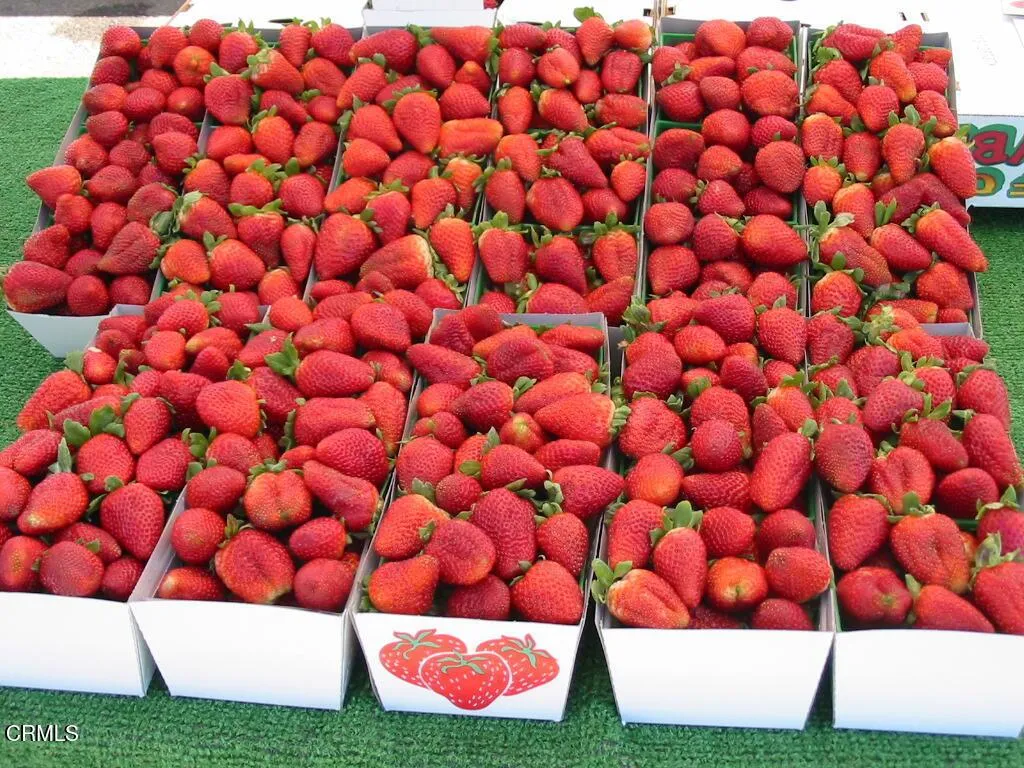 Additional image 69 of 111 E Bay Boulevard, Port Hueneme, CA 93041