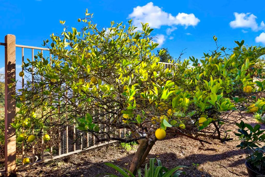 Additional image 30 of 2022 Highland View Gln, Escondido, CA 92026