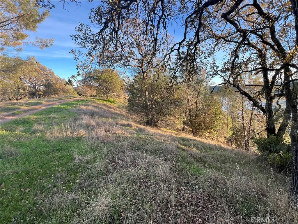 Additional image 10 of 11872 Konocti Dr, Clearlake Oaks, CA 95423