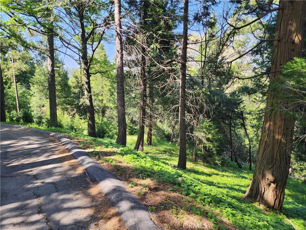 Additional image 42 of 811 Deer Trail, Crestline, CA 92325