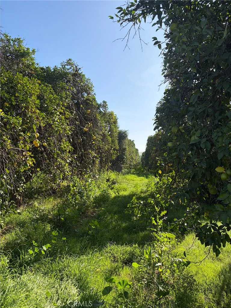 Additional image 7 of Dufferin, Riverside, CA 92504