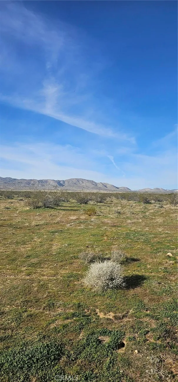 Additional image 14 of 105th St W, Rosamond, CA 93560