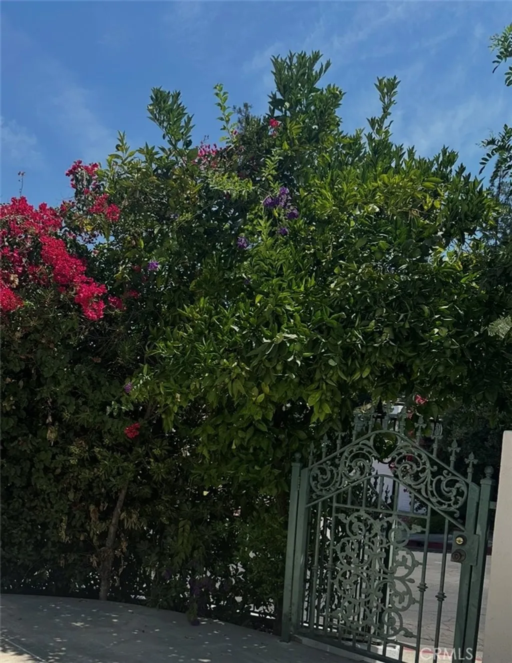 Additional image 23 of 17041 Escalon Drive, Encino, CA 91436