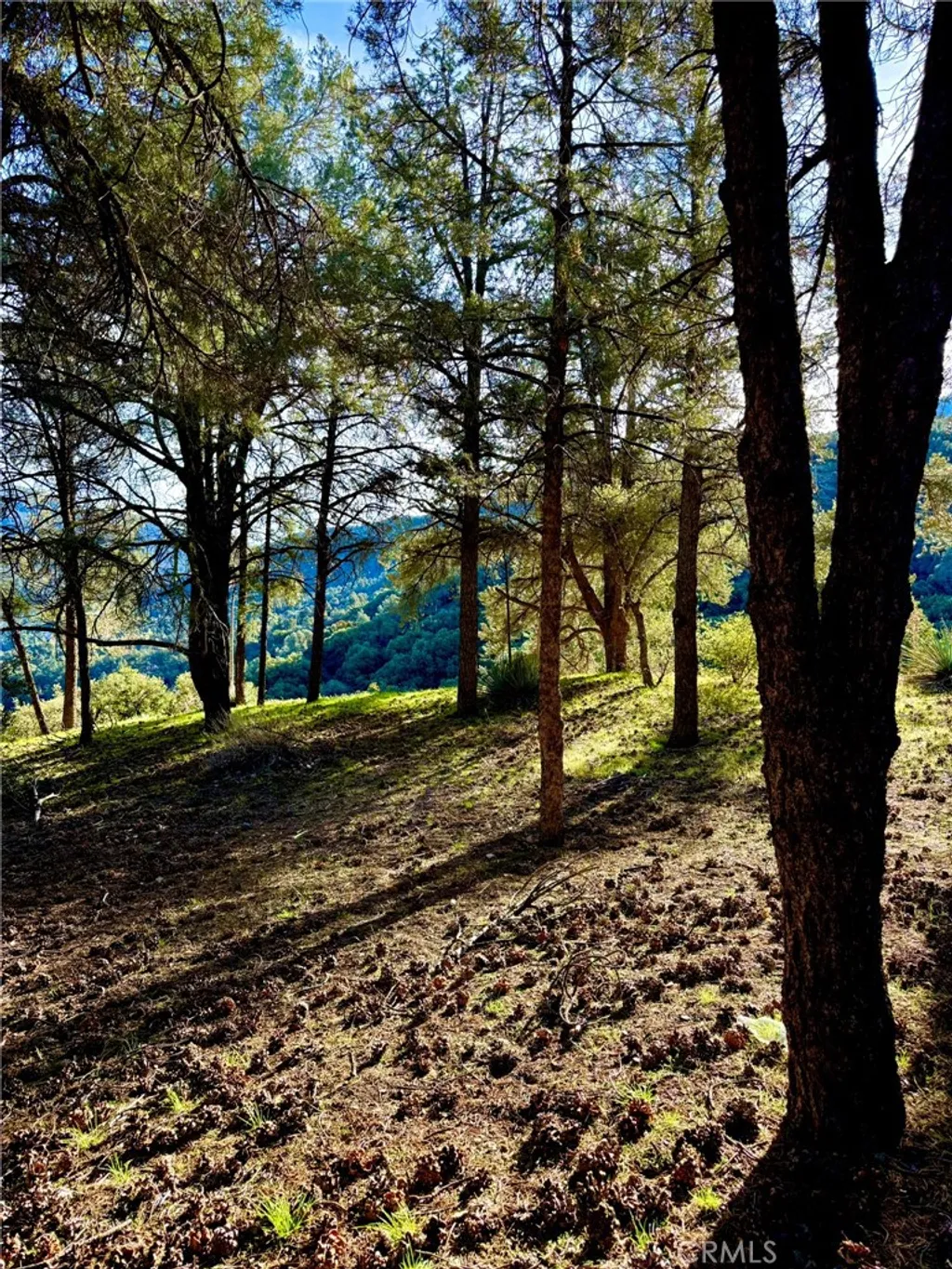 Additional image 4 of 2604 Tirol, Pine Mountain Club, CA 93225