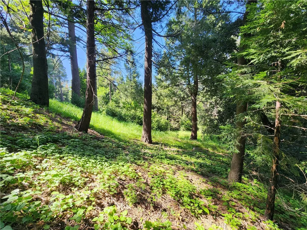 Additional image 21 of 811 Deer Trail, Crestline, CA 92325