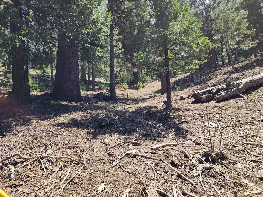 Additional image 21 of 586 Rose Ln, Twin Peaks, CA 92391