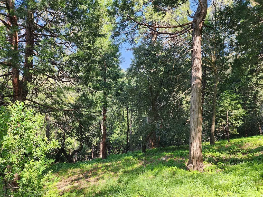 Additional image 15 of 811 Deer Trail, Crestline, CA 92325