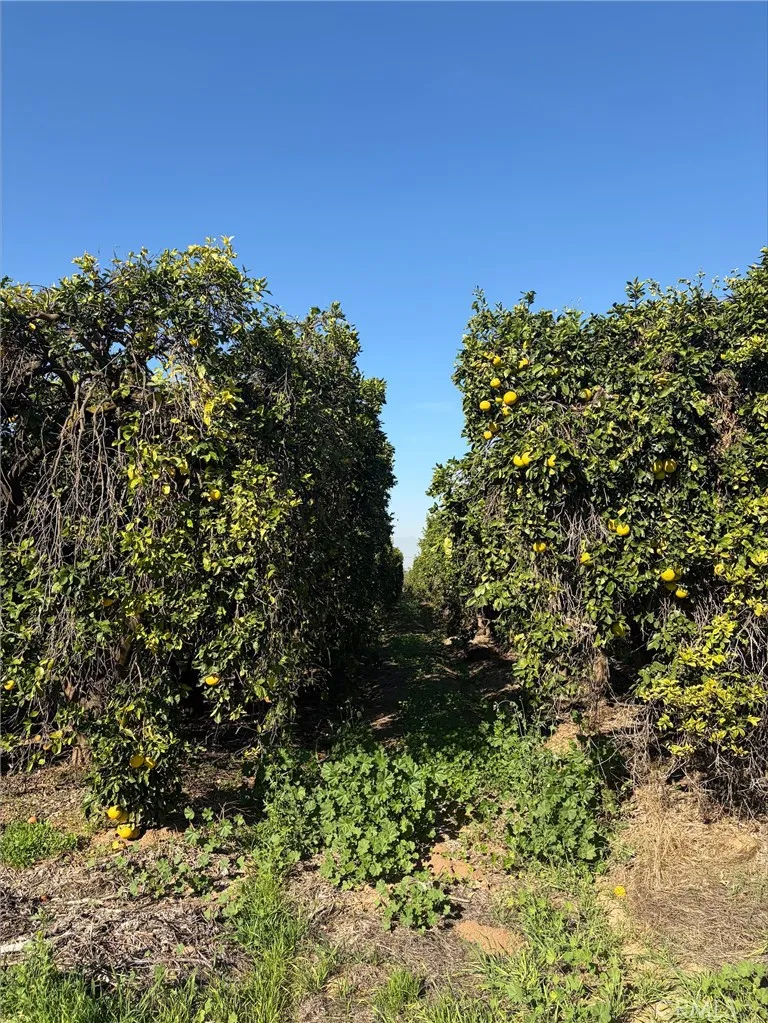 Additional image 6 of Dufferin, Riverside, CA 92504