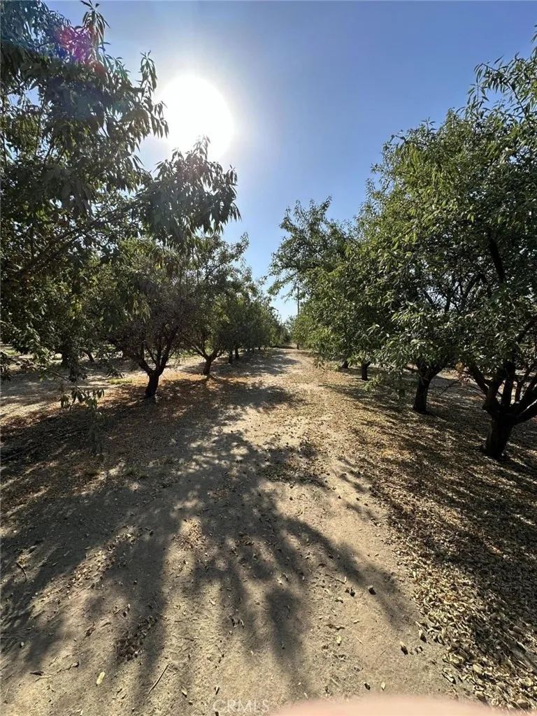 Additional image 15 of 27726 N Palm St, , CA 93256