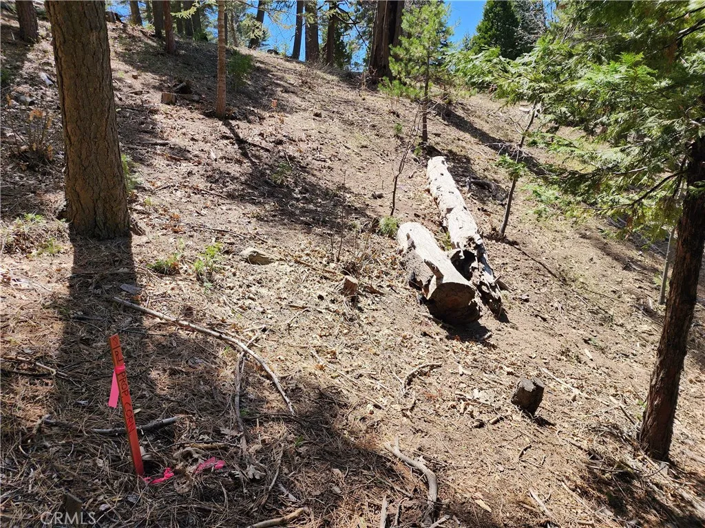 Additional image 18 of 586 Rose Ln, Twin Peaks, CA 92391