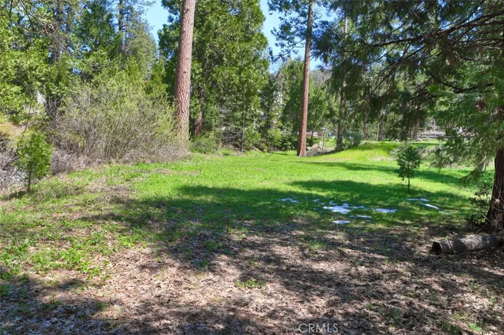 Additional image 46 of Dogwood Creek Drive, Bass Lake, CA 93604
