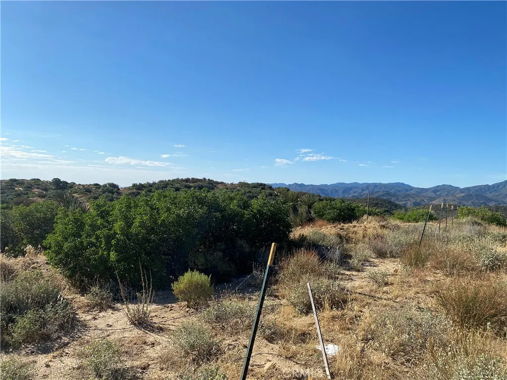 Additional image 18 of 63151 Table Mountain Truck, Anza, CA 92561