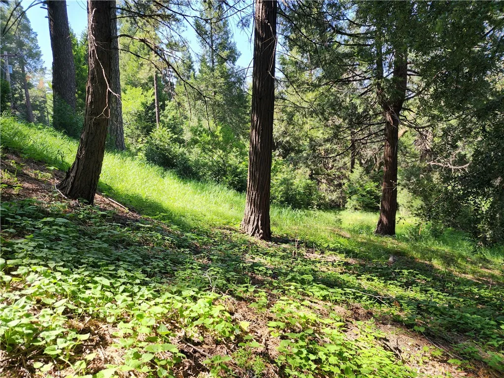 Additional image 24 of 811 Deer Trail, Crestline, CA 92325