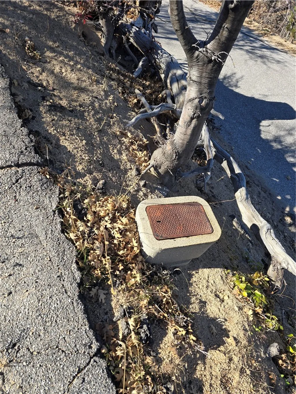 Additional image 5 of 2350 deep creek, Running Springs, CA 92382